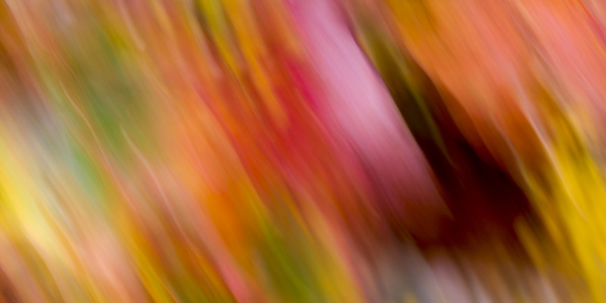 Time & Space | 40x20