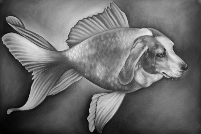 Beaglefish