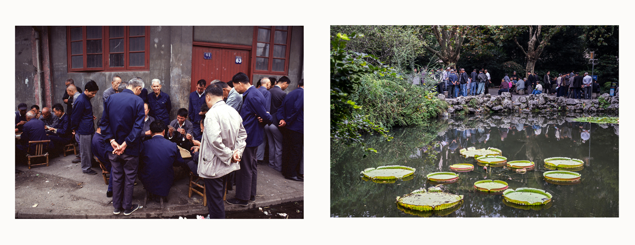 Card Players 1980 | Card Players in the Park 2014