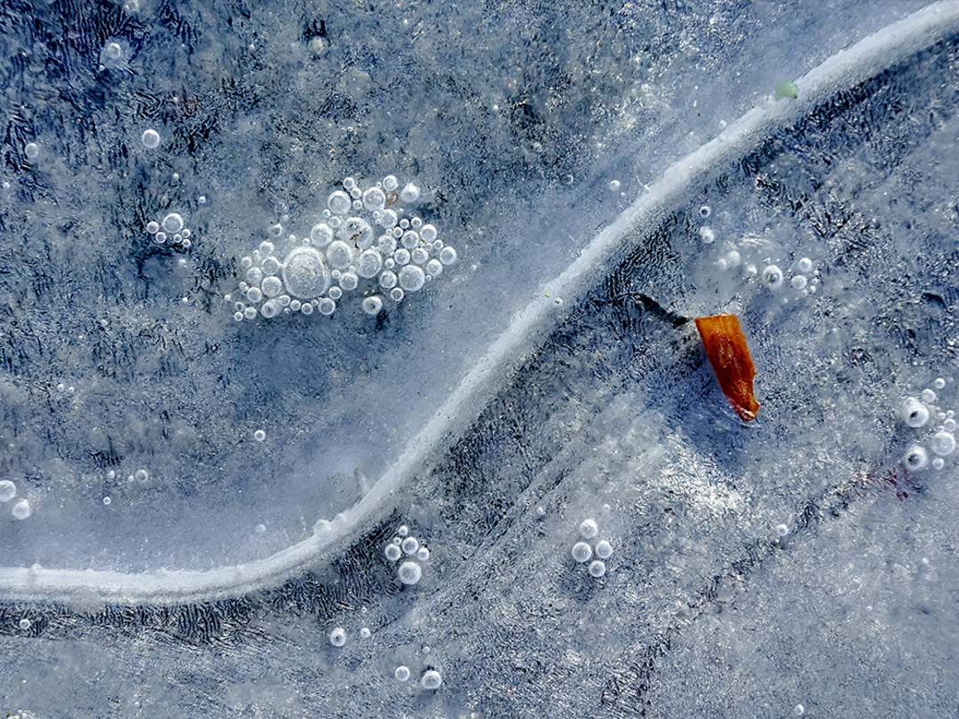 enchanted_in_ice_08_kostkaz