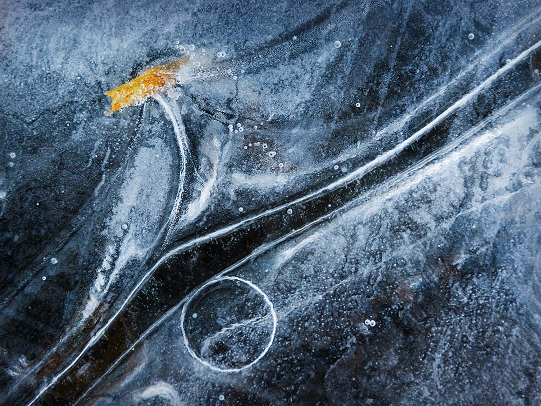enchanted_in_ice_12_kostkaz