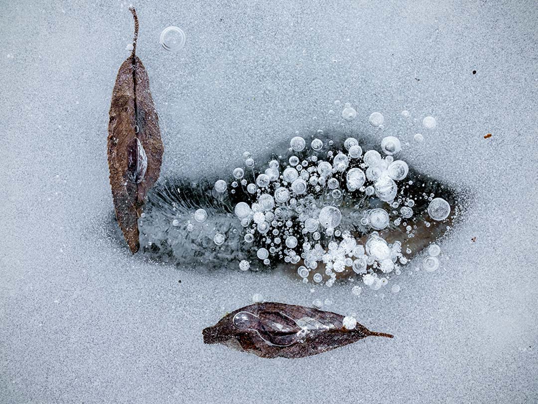 enchanted_in_ice_17_kostkaz