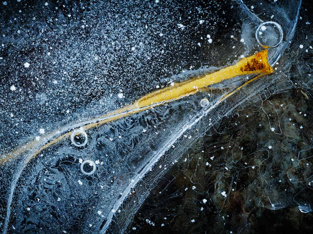 enchanted_in_ice_18_kostkaz