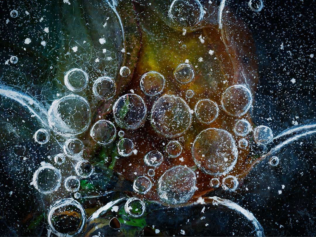 enchanted_in_ice_20_kostkaz