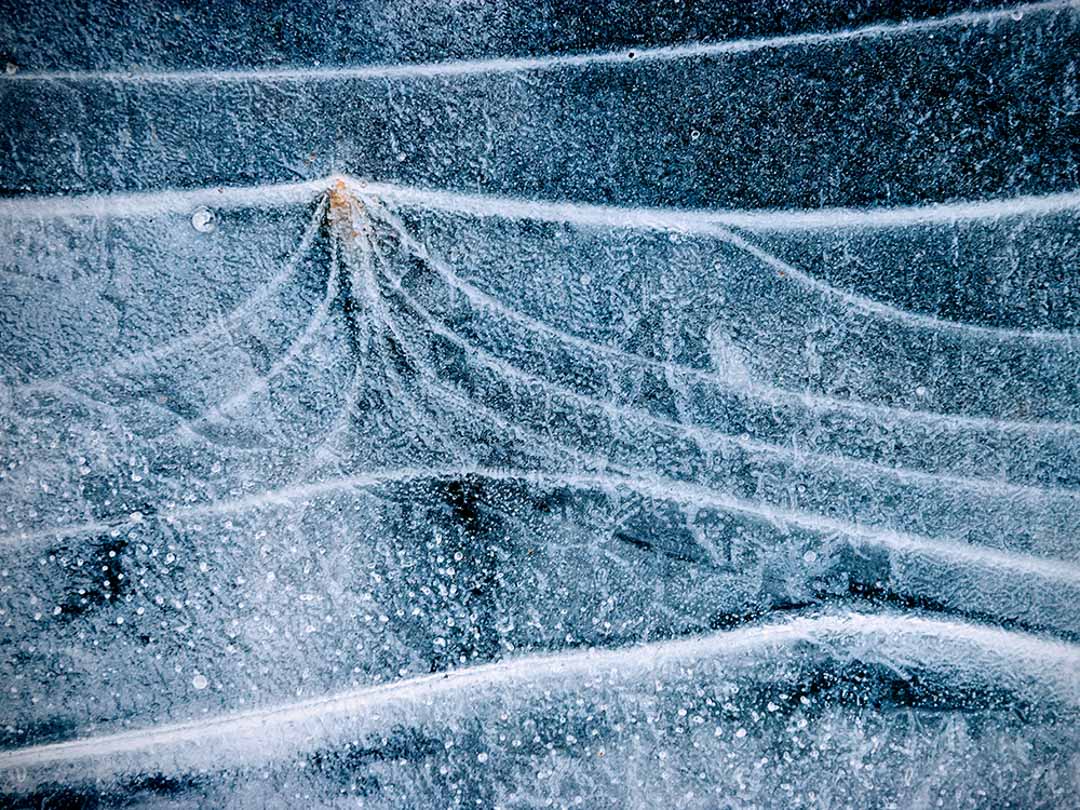 enchanted_in_ice_37_kostkaz