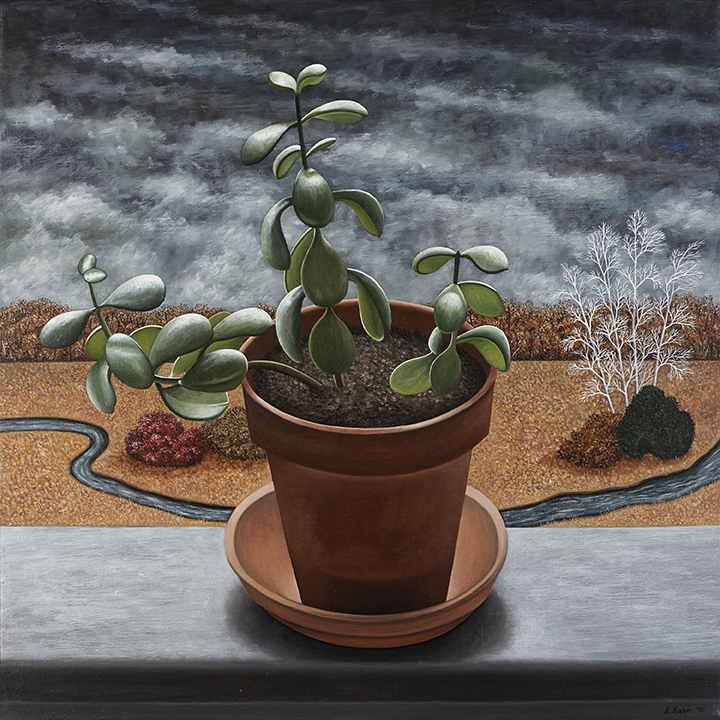 Rubber Plant | 20 x 20