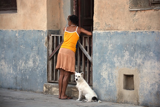 Cuba, Moving Forward/Politics