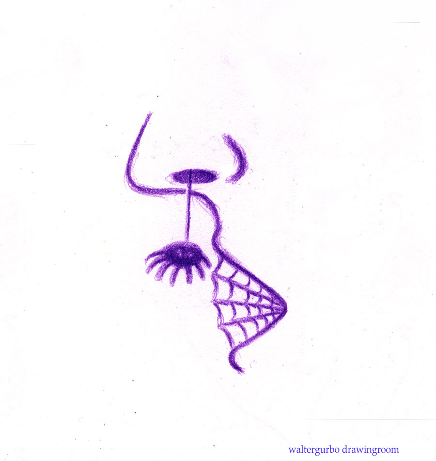 spidernosePURPLEwebmouth