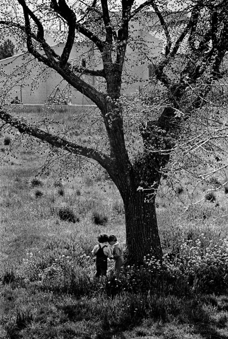 096 Aurélien et Emilie sous le tilleul 1984