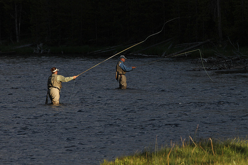 Visitors fly fishing in the Yellowstone National Park. fly fishing yellowstone photo