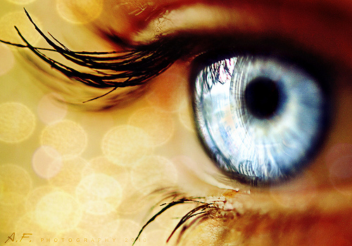 Fred Skolnik / A Freudian Analysis