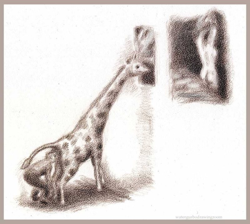 periscpe-giraff