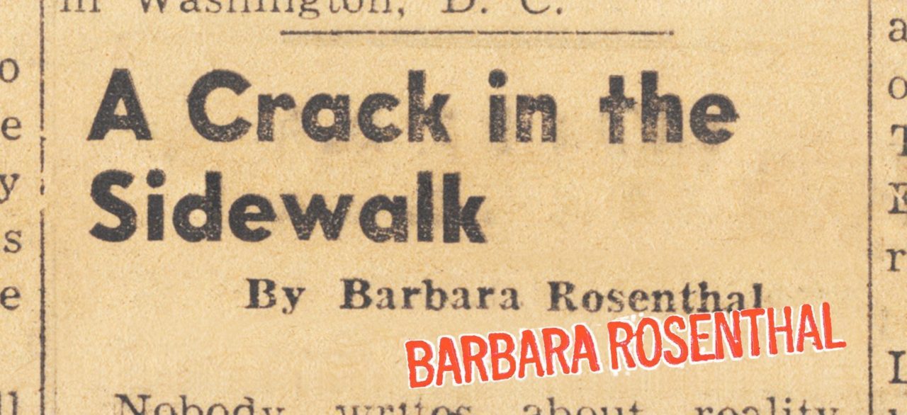 A Crack in the Sidewalk/Barbara Rosenthal