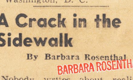 A Crack in the Sidewalk/Barbara Rosenthal